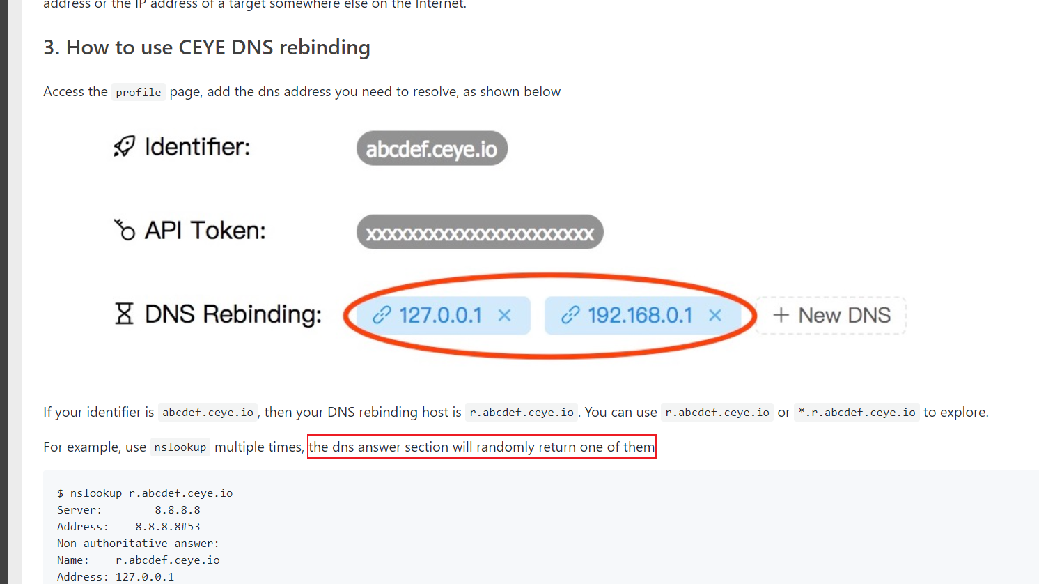 dns-rebinding-bypass